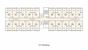 c-11-building
